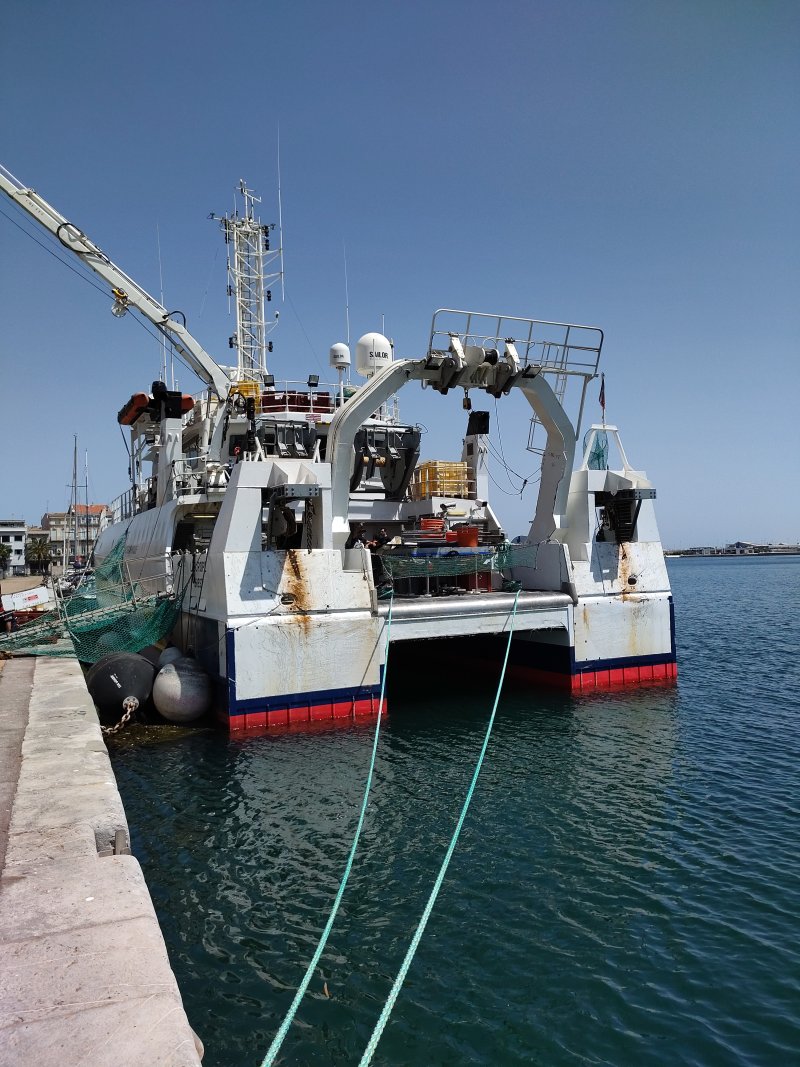 L'Europe, Sète, June 2024