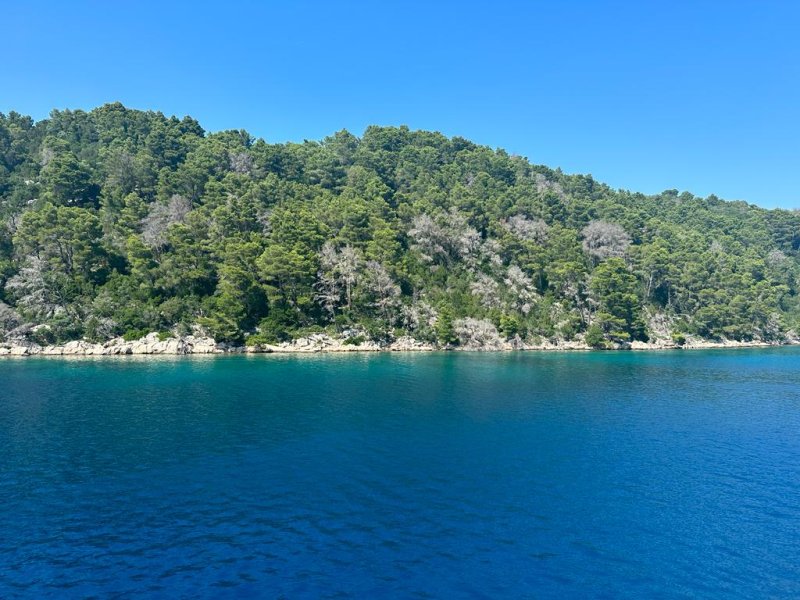 Le soir, la baie teintée de rose, depuis l'avant du catamaran