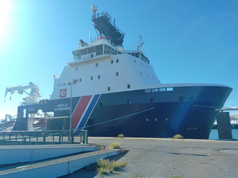 Abeille Normandie, octobre 2022